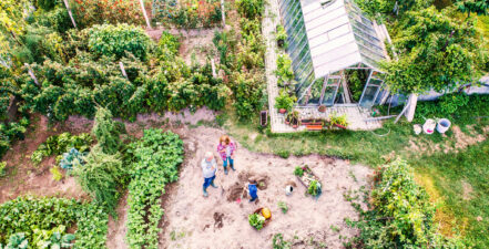 01-Community Garden-Hero