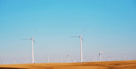 wind-farm