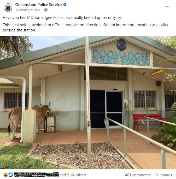 Screenshot from the Queensland Police Service Facebook page, showing a large bull standing under the front veranda of Doomadgee Police Station. The post reads, “Have you herd? Doomadgee Police have really beefed up security [cow emoji]. This steakholder avoided an official mooove on direction after an impromptu meating was called outside the station.”