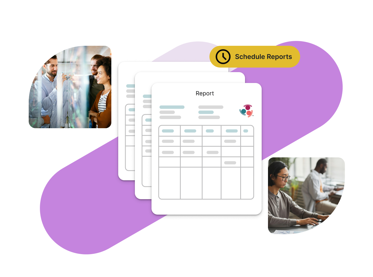 Schedule Reports